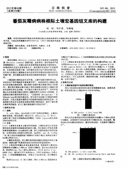 番茄灰霉病病株根际土壤宏基因组文库的构建