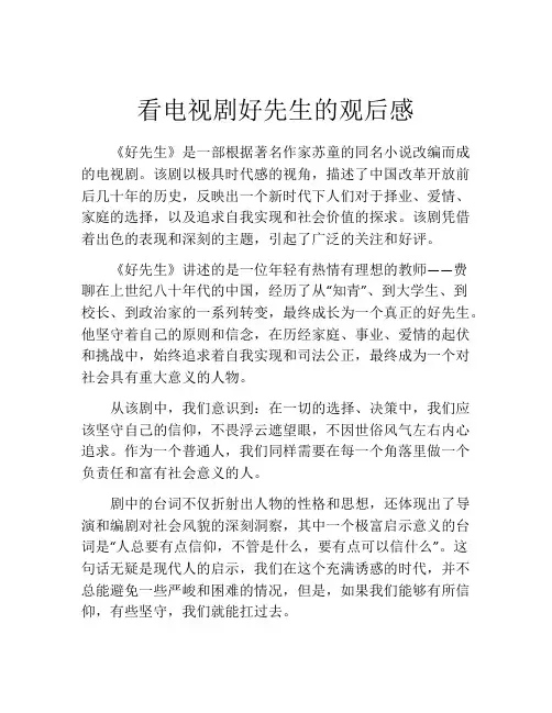 看电视剧好先生的观后感