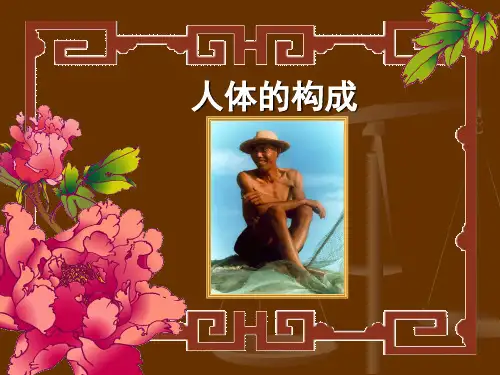 人体的构成PPT课件