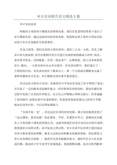 审计实训报告范文精选5篇