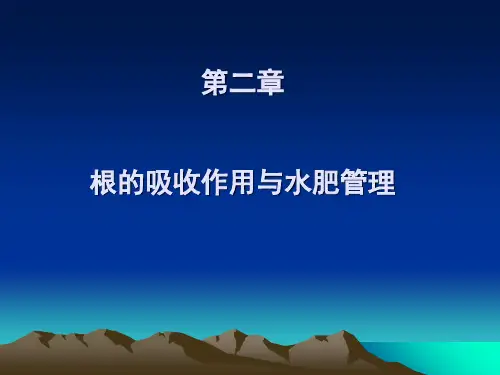 根的吸收作用与水肥ppt课件