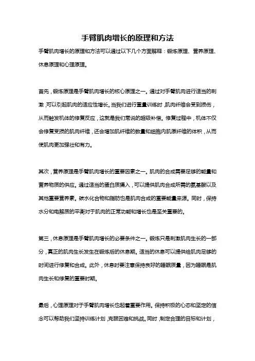 手臂肌肉增长的原理和方法