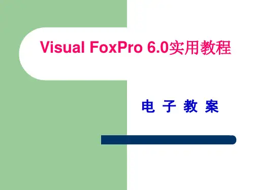 vfp6.0课件