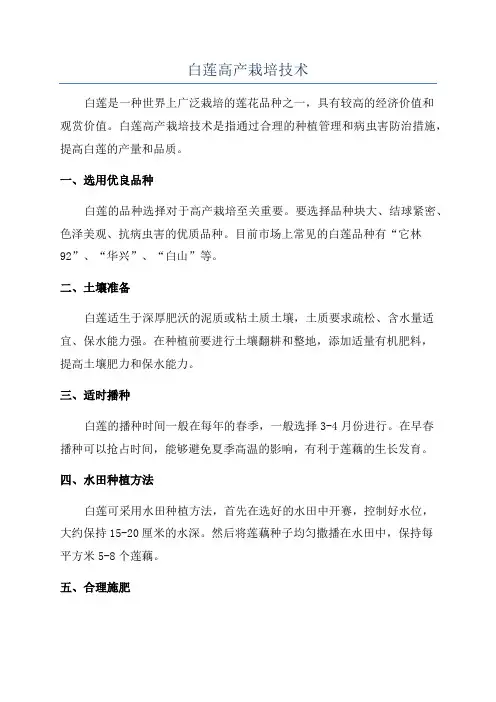 白莲高产栽培技术