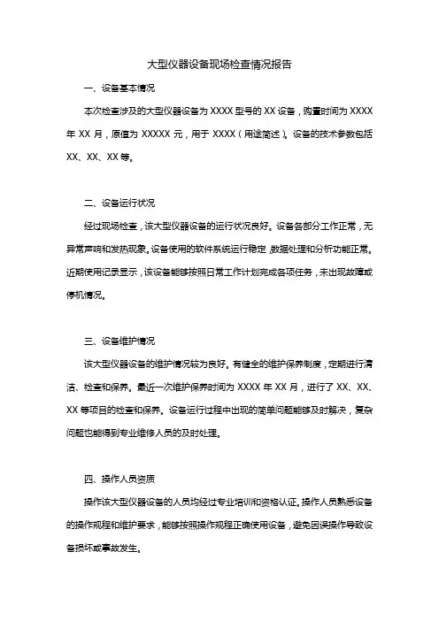 大型仪器设备现场检查情况报告