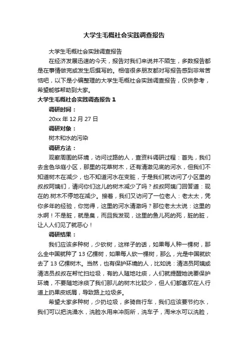 大学生毛概社会实践调查报告