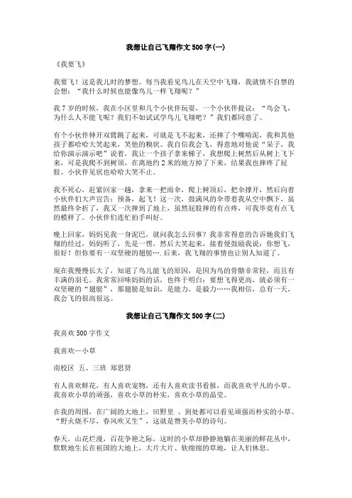 我想让自己飞翔作文500字