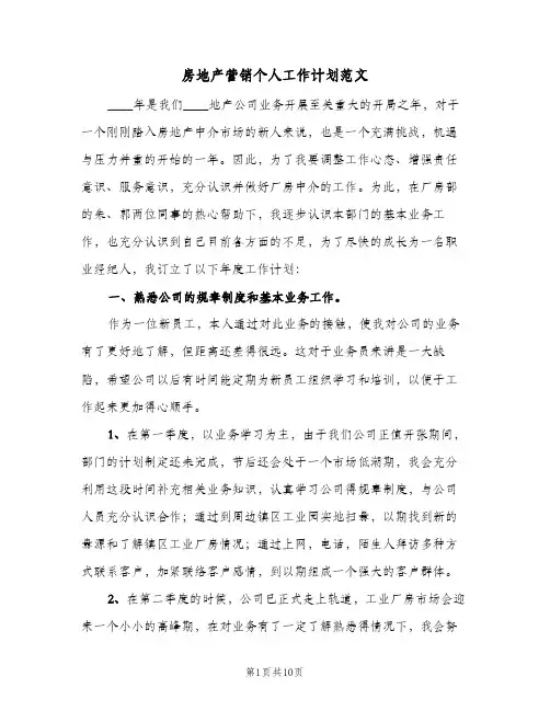 房地产营销个人工作计划范文（五篇）