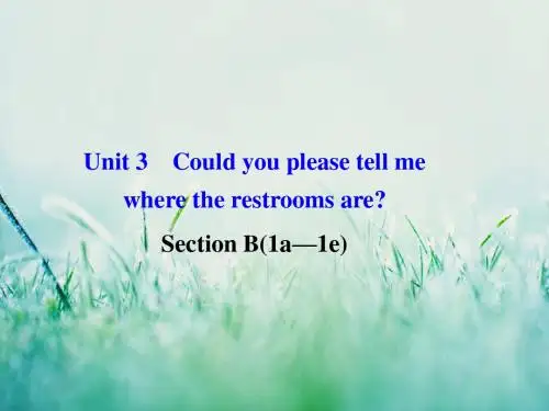 人教版九年级全一册英语unit 3单元导学案unit 3 b