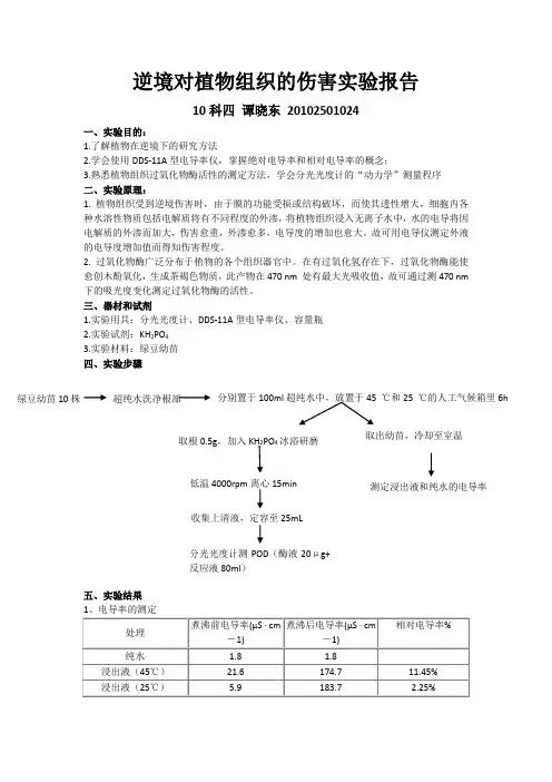 逆境对植物的伤害实验报告