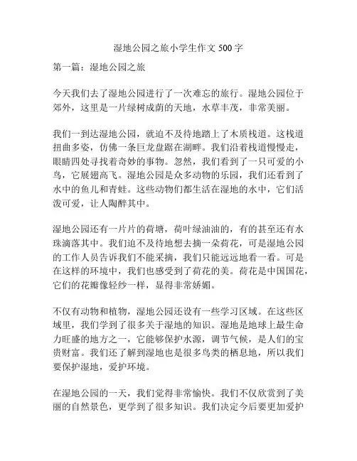 湿地公园之旅小学生作文500字