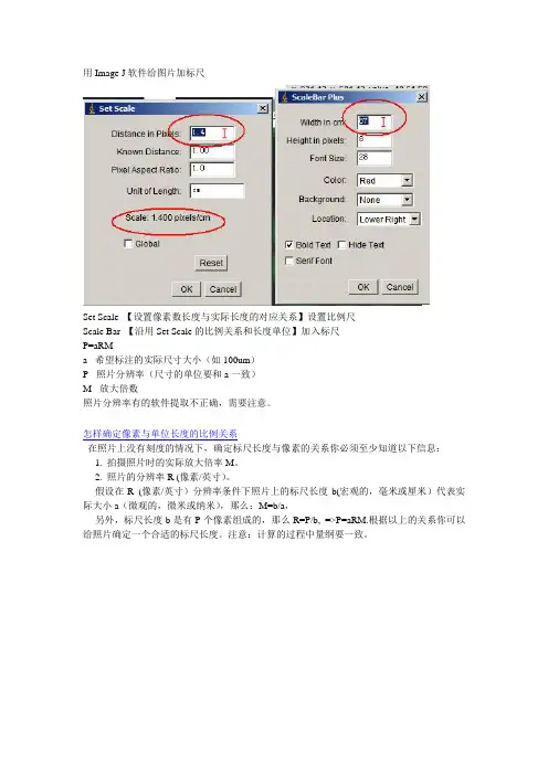ImageJ给照片加标尺