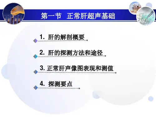 肝超声诊断PPT课件