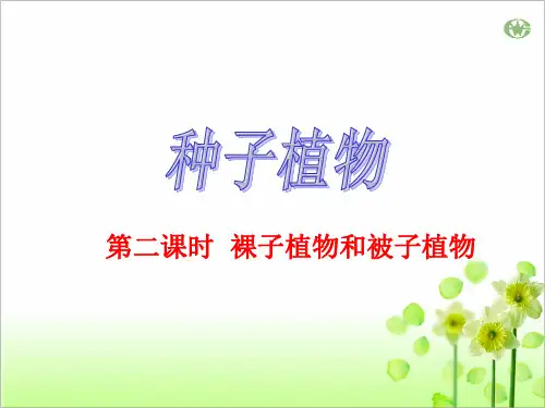 裸子植物和被子植物