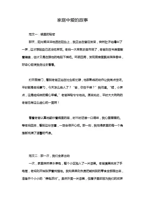 家庭中爱的故事