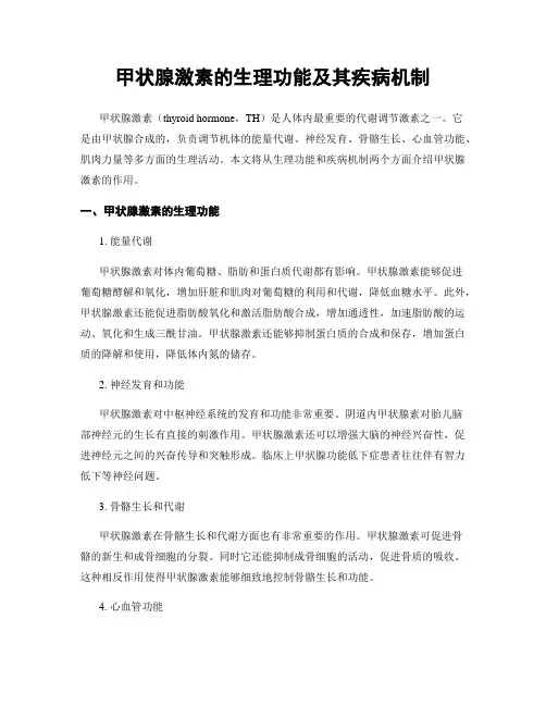 甲状腺激素的生理功能及其疾病机制