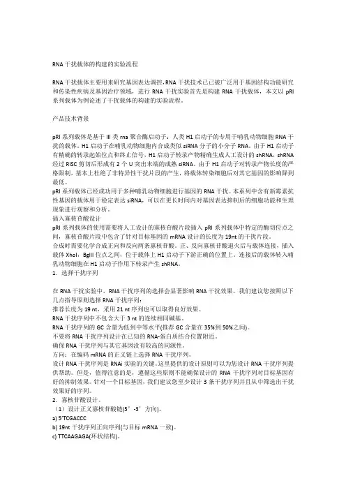 RNA干扰载体的构建的实验流程