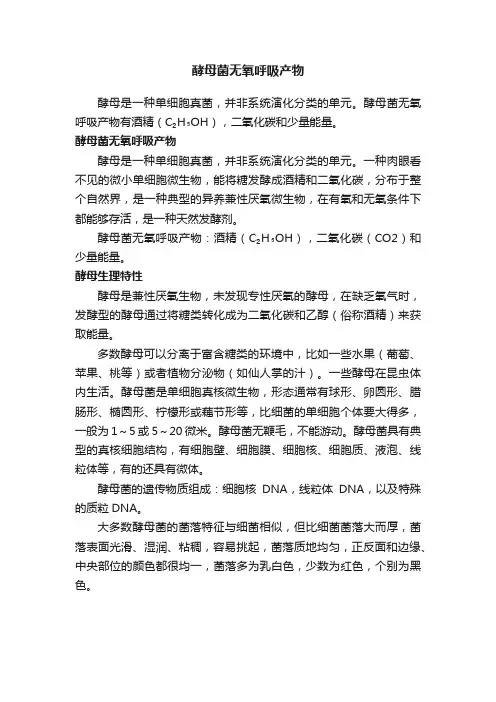 酵母菌无氧呼吸产物