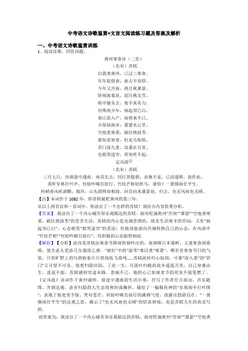 中考语文诗歌鉴赏+文言文阅读练习题及答案及解析