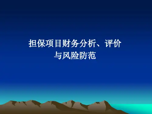 担保项目财务分析评价与风险防范-西安-杨春光