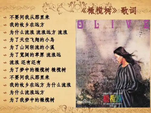撒哈拉的故事：三毛 荷西ppt课件