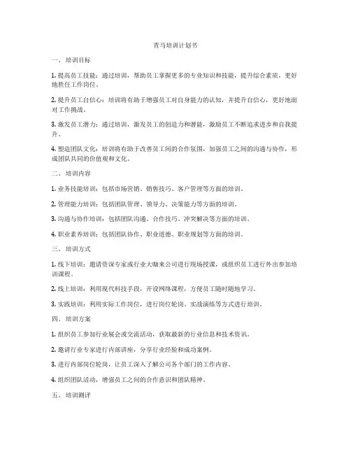 青马培训计划书
