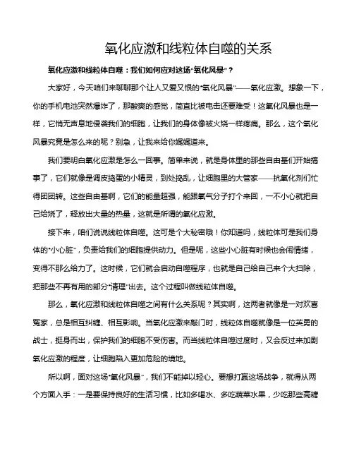氧化应激和线粒体自噬的关系
