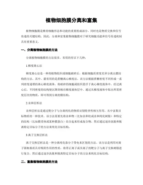 植物细胞膜分离和富集