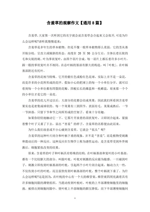 精选含羞草的观察作文【通用8篇】