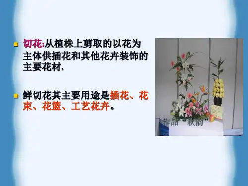 花卉保鲜-保鲜剂