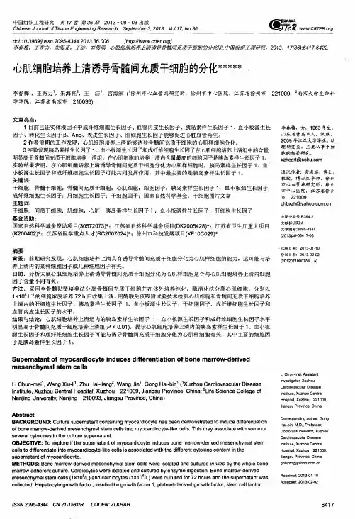 心肌细胞培养上清诱导骨髓间充质干细胞的分化