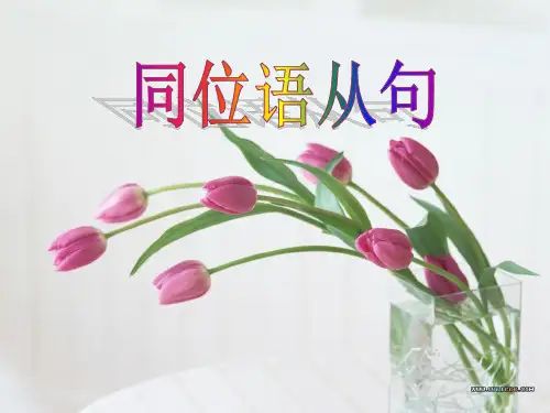 初中英语-同位语从句
