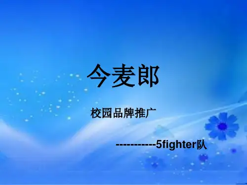 今麦郎推广方案