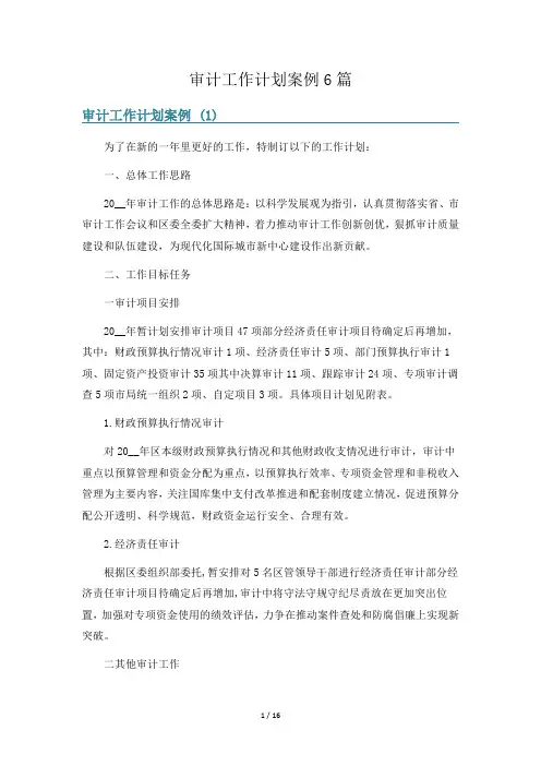 审计工作计划案例6篇