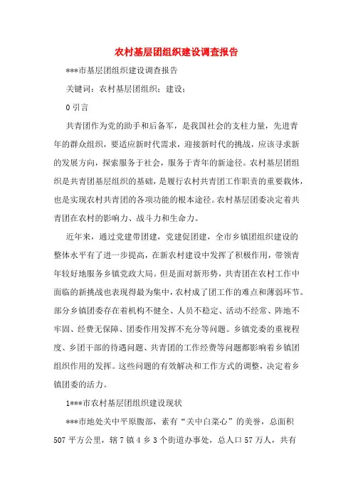农村基层团组织建设调查报告