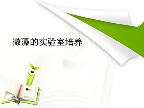 单胞藻类的实验室培养