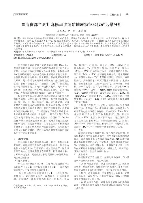 青海省都兰县扎麻修玛沟铜矿地质特征和找矿远景分析