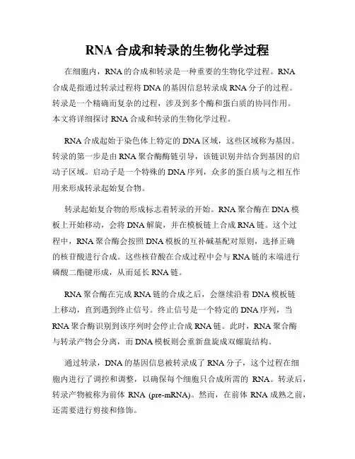 RNA合成和转录的生物化学过程