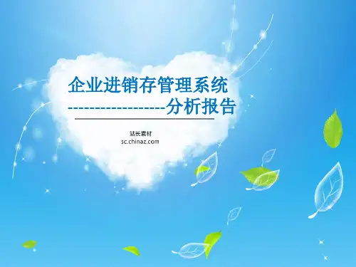 进销存管理系统分析报告
