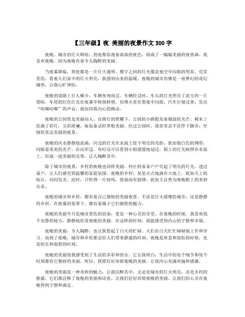 【三年级】夜 美丽的夜景作文300字
