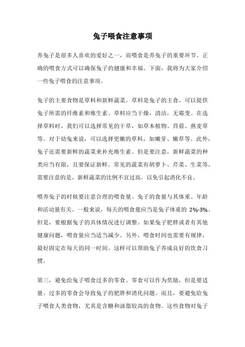 兔子喂食注意事项