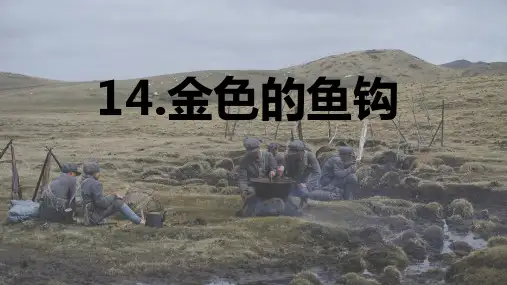 第15课《金色的鱼钩》课件