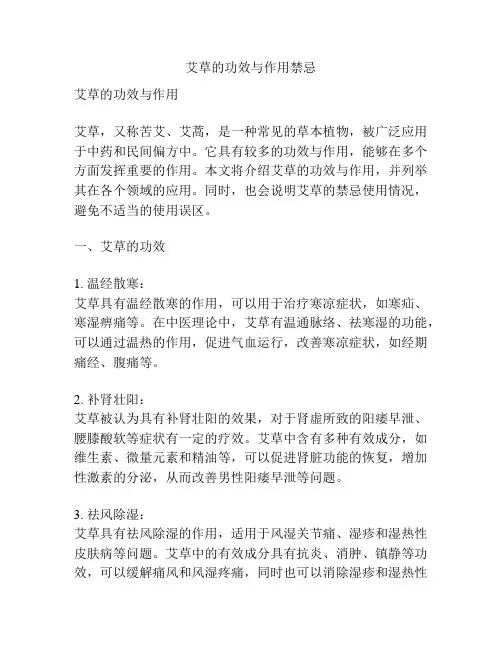 艾草的功效与作用禁忌
