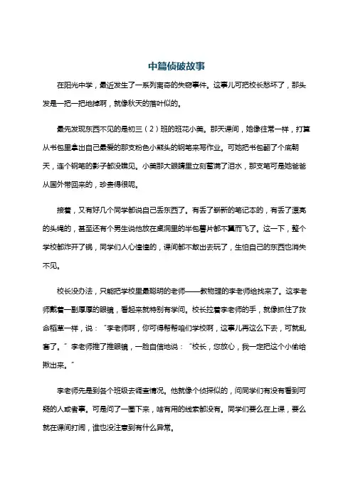 中篇侦破故事