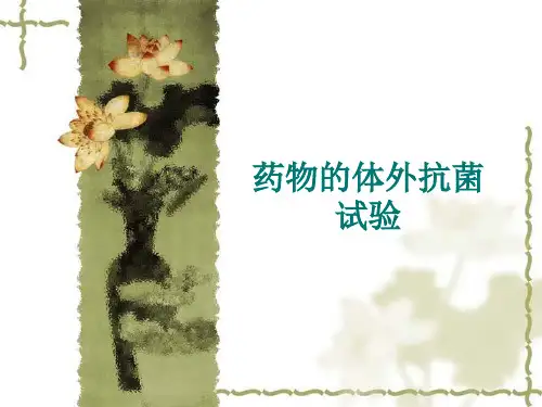 药物的体外抗菌试验