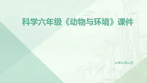 科学六年级《动物与环境》课件