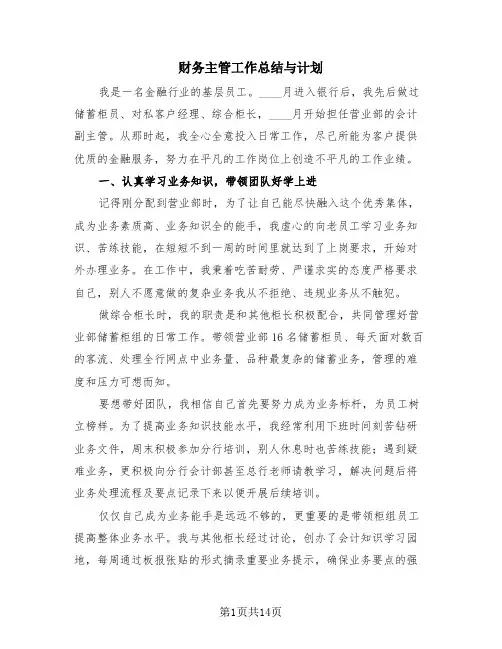 财务主管工作总结与计划(4篇)