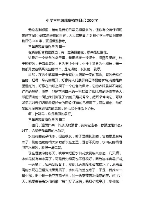 小学三年级观察植物日记200字