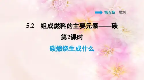 碳燃烧生成什么PPT授课课件