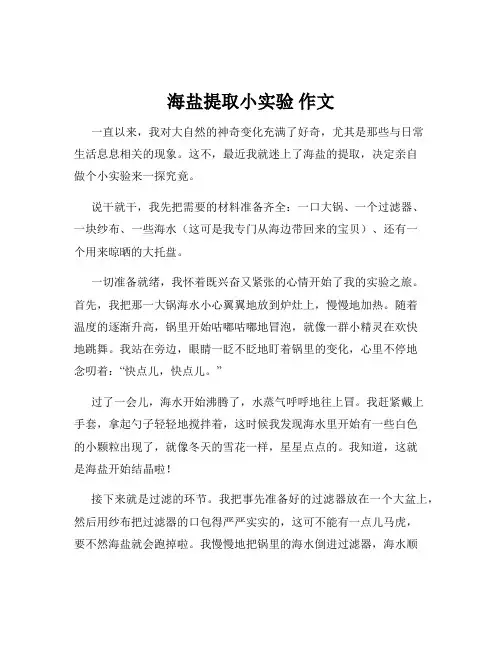 海盐提取小实验 作文